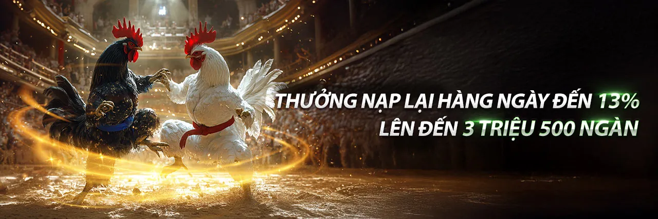 Đá gà trực tuyến mn88 chính thức